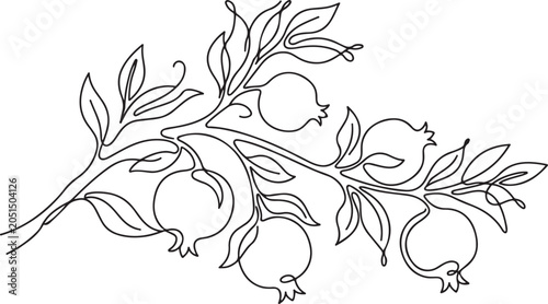 Pomegranate branch with fruits and leaves, continuous line drawing minimalist botanical illustration of a fruit tree branch