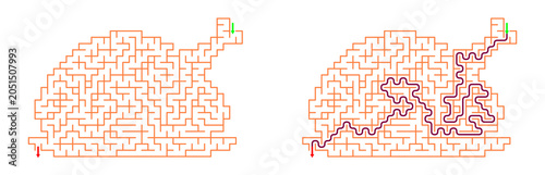 Turkey shaped maze