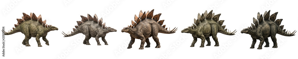 Fototapeta premium Stegosaurus Dinosaur 3D Models: Five Detailed Herbivore Figures with Iconic Back Plates and Spiked Tails for Paleontology Exhibits and Digital Design Projects.