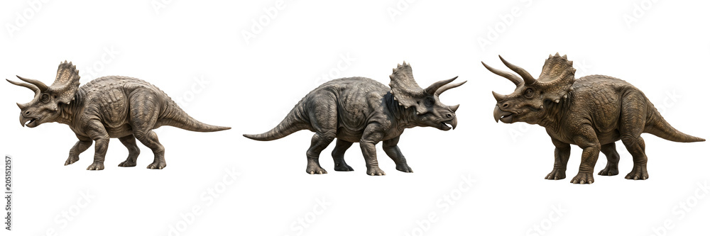 Fototapeta premium Triceratops Dinosaur 3D Models: Realistic Prehistoric Herbivore Figures with Iconic Horns and Frills, Perfect for Paleontology Education and Digital Design Projects.