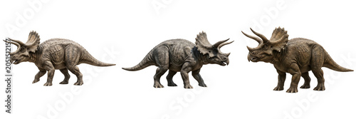 Cuadro en lienzo Triceratops Dinosaur 3D Models: Realistic Prehistoric Herbivore Figures with Iconic Horns and Frills, Perfect for Paleontology Education and Digital Design Projects