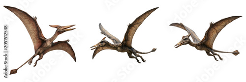 Photos A detailed trio of realistic Pterosaurs captured in dynamic, mid-flight poses, showcasing their unique wing structure and leathery texture, isolated on a white background