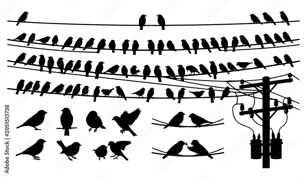 Φωτογραφία Birds sitting on electric wire silhouette collection vector illustration
