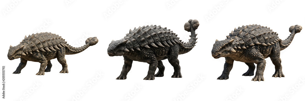 Fototapeta premium A detailed set of three realistic Ankylosaurus dinosaurs in different poses, showcasing their iconic armored plates and club tails, isolated on a clean white background.