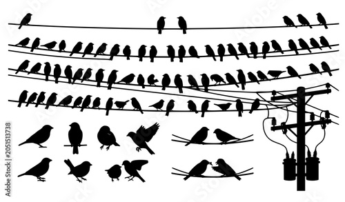 Obraz na plátně Birds sitting on electric wire silhouette collection vector illustration