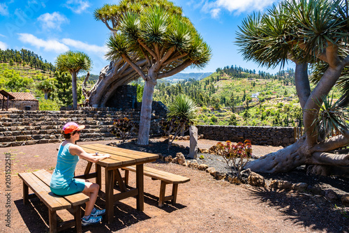Hiker in a pink hat rests at a wooden picnic table beneath massive, unique dragon trees near Puntagorda, La Palma, Canary Islands, Spain