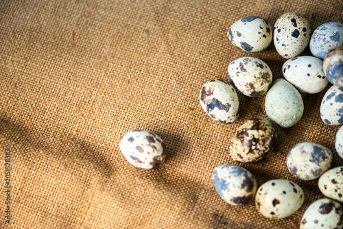 Quail eggs on burlap fabric