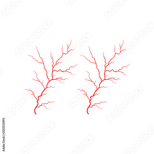 Obraz na płótnie Red Capillary Tree Illustration Representing Blood Vessels Nerve Paths or Tree R