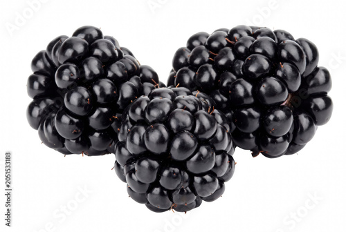 Obraz na płótnie Trio of Ripe and Shiny Dark Forest Berries