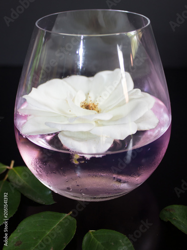 A single large Iceberg rose, floating in a glass of pink gin and tonic.