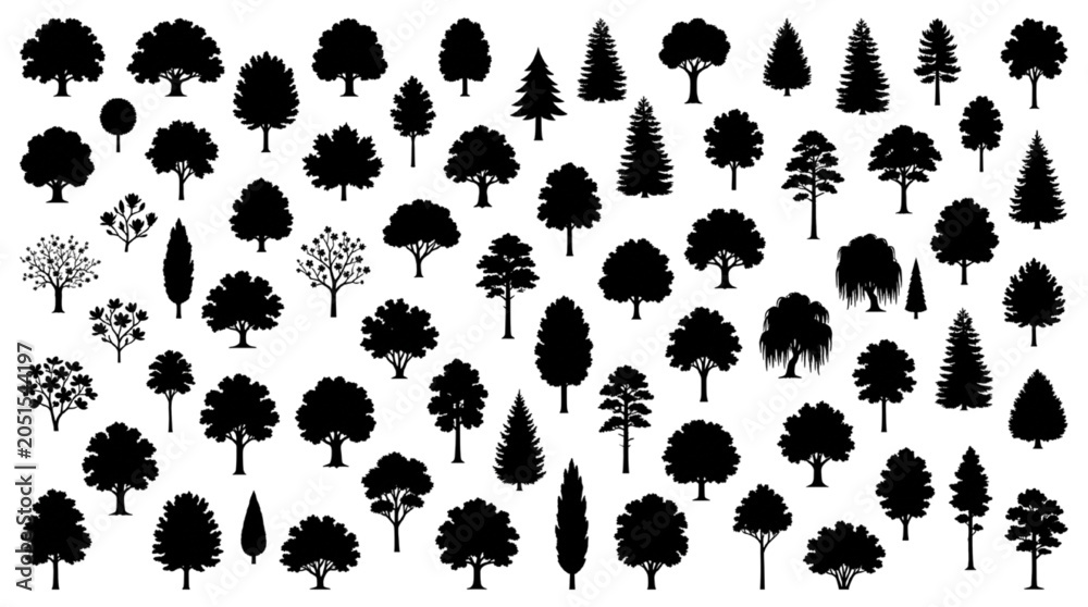 Fototapeta premium Tree Silhouette Mega Bundle – Oak, Pine, Fir, Willow, Cypress & Deciduous Landscape Architecture Symbols 