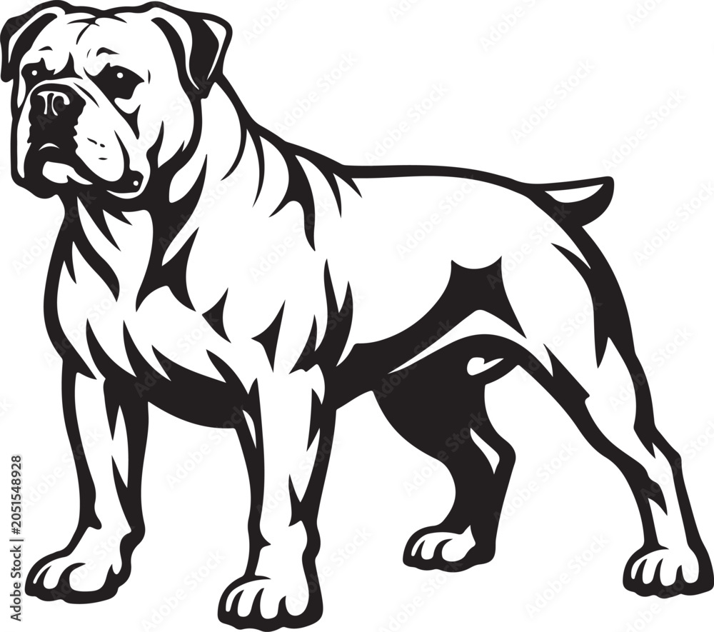 Fototapeta premium Bulldog Standing Isolated on White Background Black Lines
