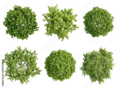 Top view of six different green trees isolated on transparent background.