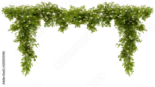 Symmetrical floral arch composed of lush green vines and delicate white blossoms, perfect for wedding backdrops or event decorations. Creates a romantic natural frame against transparent background.