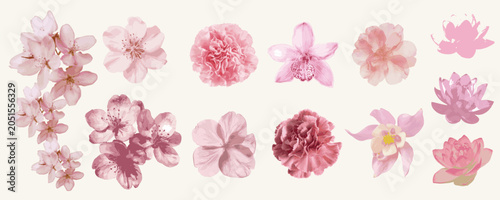 Minimalist Japanese Floral Vector Collection with Pink Textured Blossoms for Pattern, Tattoo and Background Design