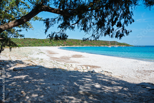 Aerial view of Lotus Beach, Corsica, France.