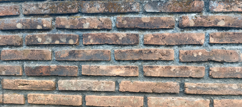 Fototapeta premium brick wall background