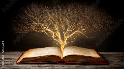 Glowing golden tree of knowledge branching out from an old antique open book on wood table