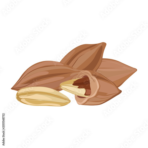 Pili Nut Tropical Superfood Collection