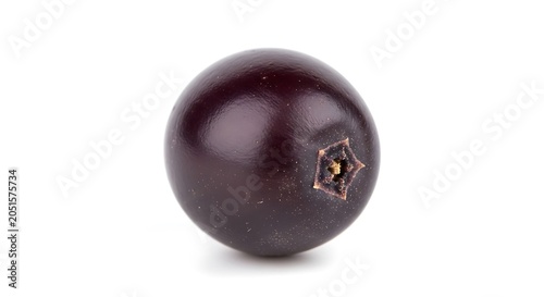 A single plum on a white background