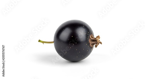 Single blackcurrant isolated on white background