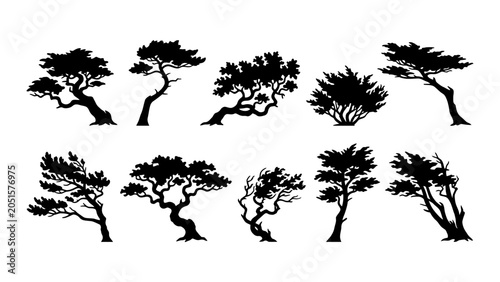Canvas-taulu Vector silhouette collection of windswept pine and bonsai trees with twisted tru