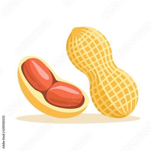 Peanut illustration with one opened shell showing kernels