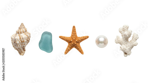Obraz na plátně Ocean marine beach life treasures collection, isolated on transparent background