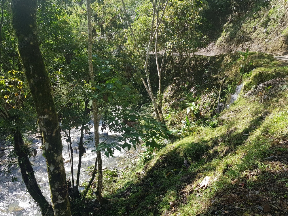 Obraz premium Paisajes naturales en clima tropica