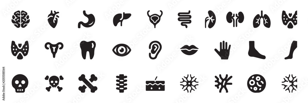 Obraz premium Collection of black human organ and body part on white background brain heart stomach
