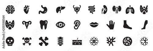 Collection of black human organ and body part on white background brain heart stomach
