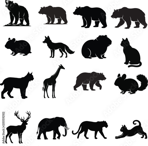 Fotografie Zebra standing side view full body silhouette illustration with silhouette
