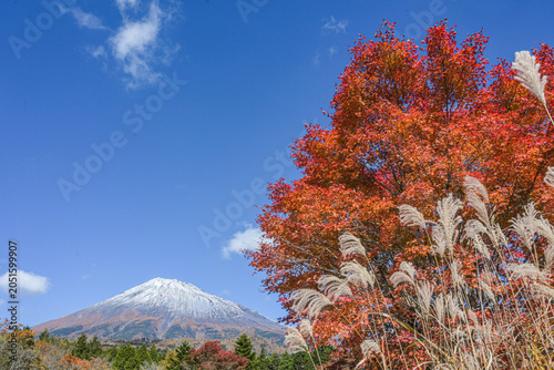 autumn in the mountains