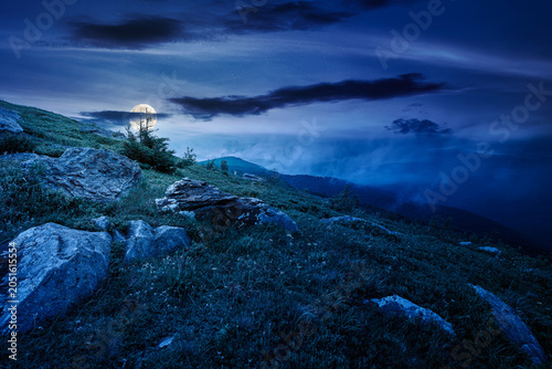 green landscape of mountain in summer at night. mysterious view of rock among grass on the hillside. full moon over travel background under a dark sky. mountain scenery with rolling hills