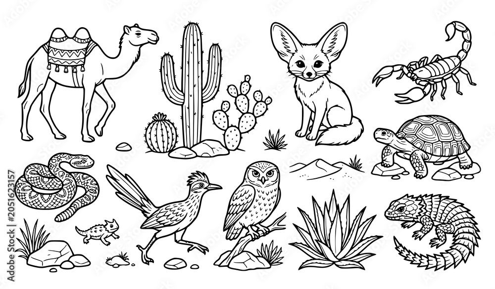 Obraz premium Detailed Desert Wildlife Illustration Bundle for Coloring Books