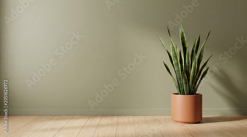Minimalist snake plant in terracotta pot on light wooden floor. Sage green wall background with soft shadows, ideal for modern home decor, interior design, or lifestyle themes.