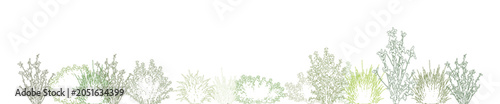 Konstfotografi CAD shrub border elevation collection, landscape vegetation line drawing, side v