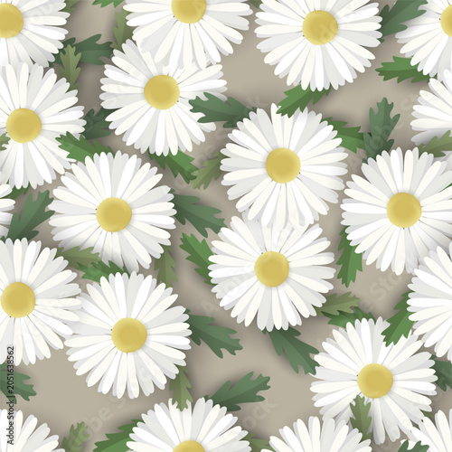 Seamless Daisy Floral Background and Leafs.
