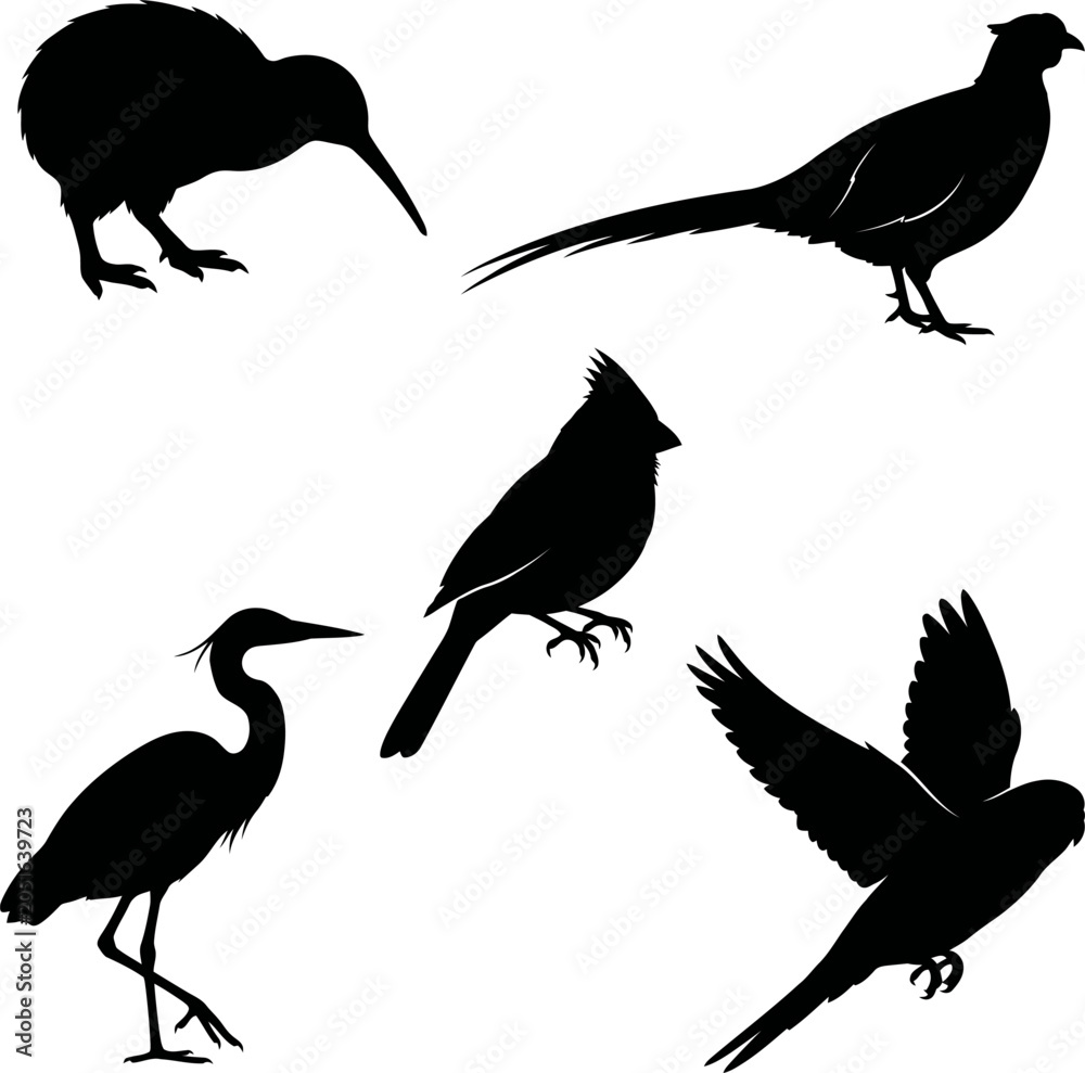 Fototapeta premium Bird silhouettes, black birds, vector icons, 5 animal graphics, wildlife illustrations