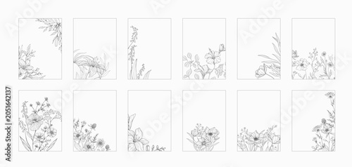 Set of card with blooming hand drawn flowers and brunch. Detailed template layout design, brochure or cover for Valentines day or wedding