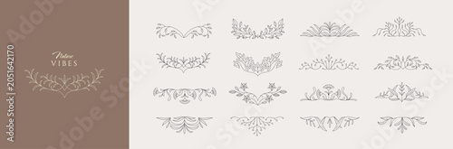 Set of floral design elements. Delicate botanical branch and border. Botanical vector illustration for invitation, save the date