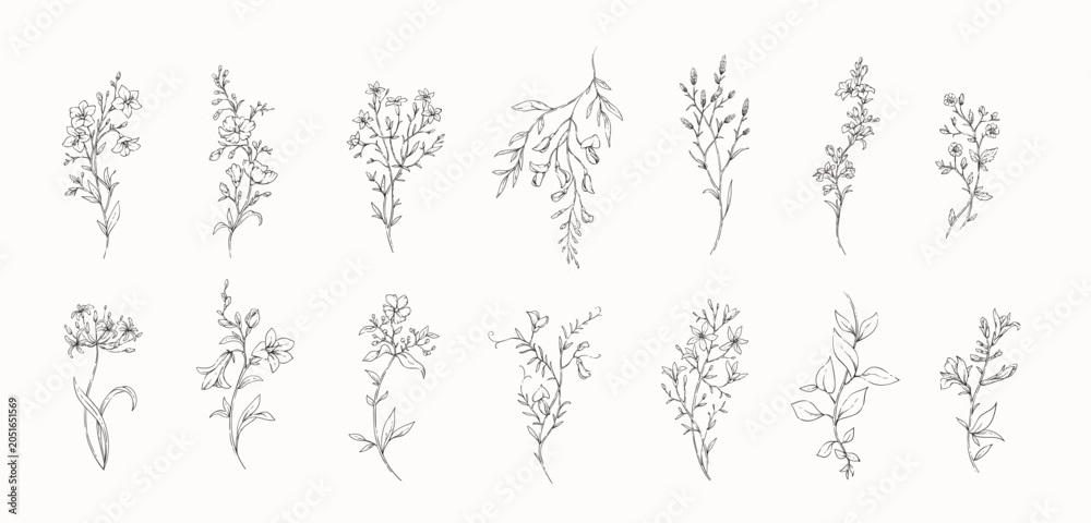 Obraz premium Set of whimsical drawing various flowers and leaves. Luxury floral collection for wedding invitation, wallpaper art or save the date card. Botanical vector