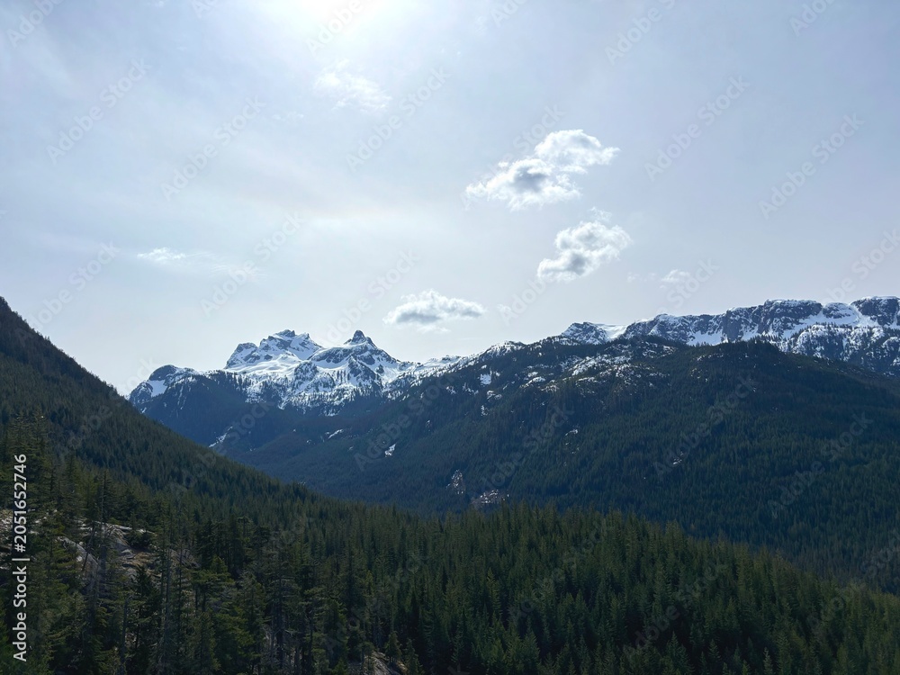 Fototapeta premium Snow Capped Mountain Peaks Overlooking Dense Pine Forest Valley, Beautiful Alpine Wilderness Landscape, Sunny Day Hiking Travel Background in Canada