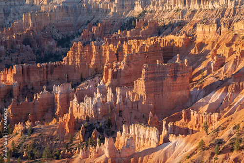 Sunlight bathes red rock formations in warm glow. Rugged spires rise from canyon floor. Canyon walls show layered, weathered stone. Sparse green shrubs cling to rocky slopes