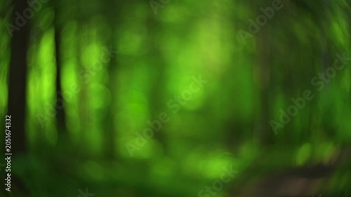 Abstract forest bokeh background with soft motion