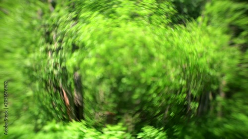 Abstract forest bokeh background with soft motion
