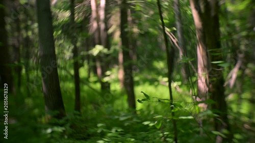Abstract forest bokeh background with soft motion