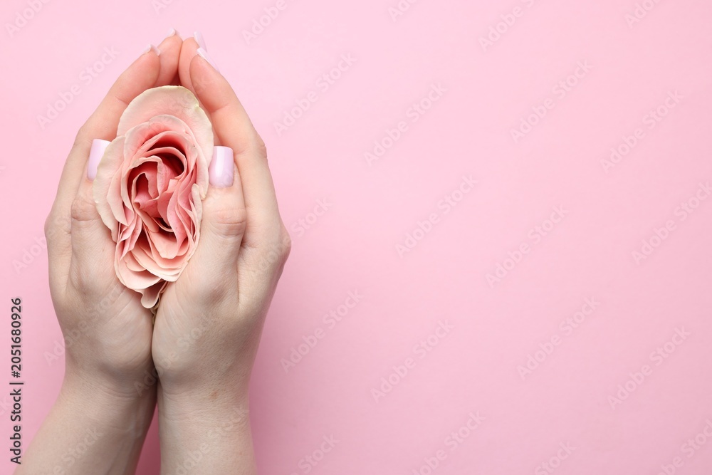 Naklejka premium Gynecology. Woman with beautiful rose on pink background, top view. Space for text