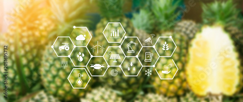 Smart agriculture and agritech concept. Hand using touching digital icons interface of modern farming technology, Agribusiness innovation and smart farming management. not ai