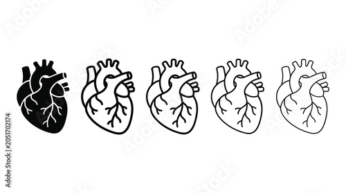 Five human heart anatomical icons with gradient detail levels illustration minimalist physician